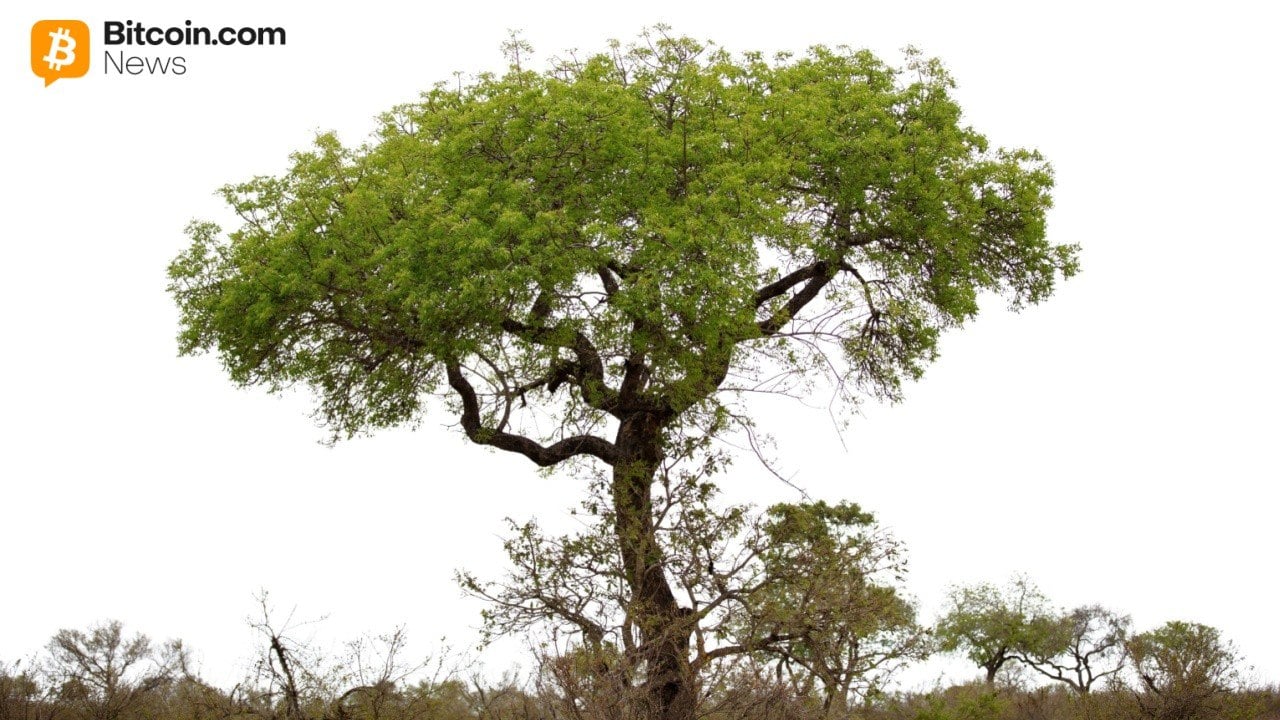 Digital Asset Solutions Firm Completes Australia’s First Tokenized Government Bond Investment