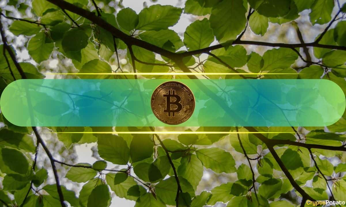 BSC Fees Hit Multi-Month Lows as History Signals Bitcoin Rebound Ahead