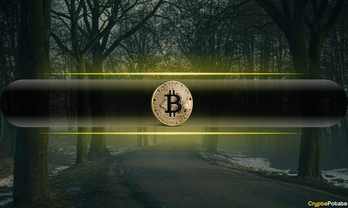 Bitcoin Drops Out of Top 10 Global Assets, Falls to 13th