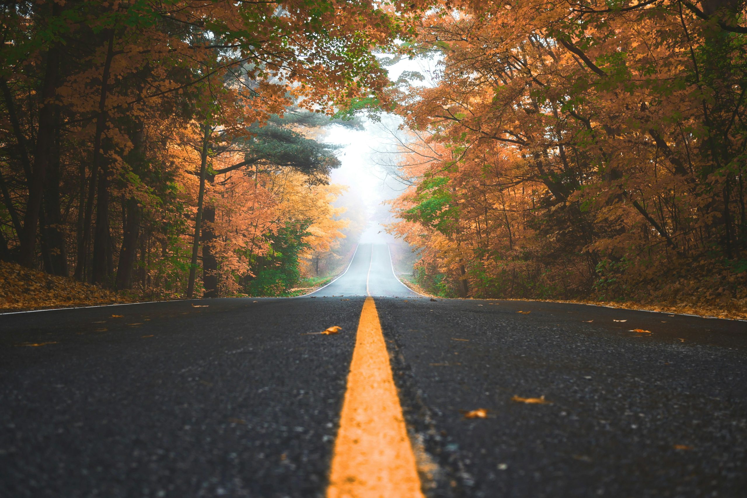 SS&C Blue Prism: On the journey from RPA to agentic automation