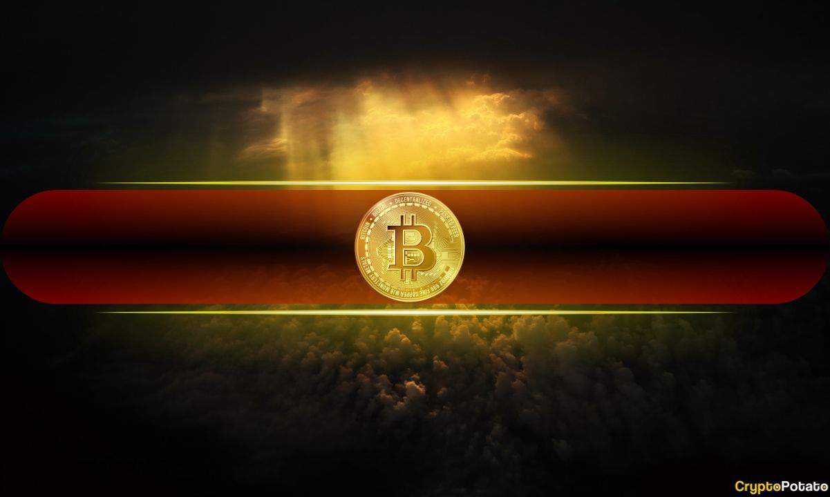 Short-Term Bitcoin Holders in Pain as Bear Market Deepens