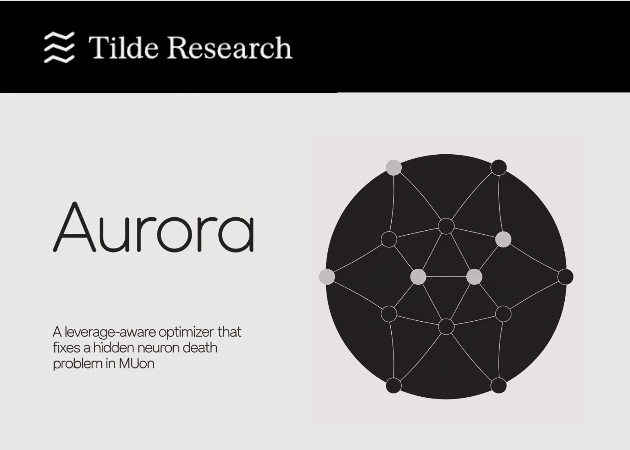 Tilde Research Introduces Aurora: A Leverage-Aware Optimizer That Fixes a Hidden Neuron Death Problem in Muon